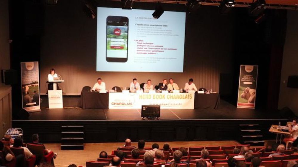 © Herd-book charolais